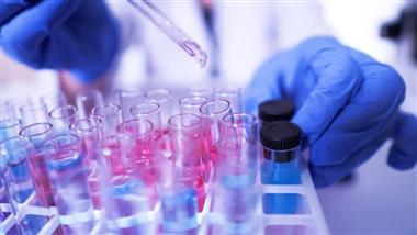 pcr test reliability